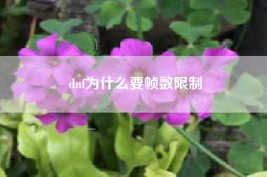 dnf为什么要帧数限制