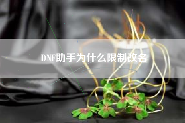 DNF助手为什么限制改名