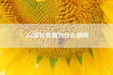 dnf成长胶囊为什么删除