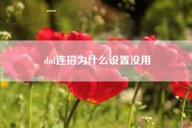 dnf连招为什么设置没用