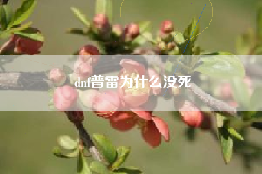 dnf普雷为什么没死