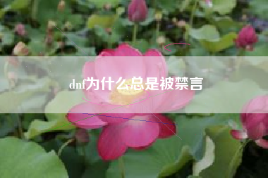 dnf为什么总是被禁言