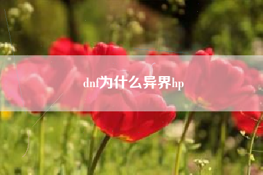 dnf为什么异界hp