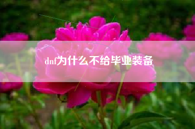 dnf为什么不给毕业装备