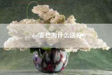 dnf麦芒为什么送分