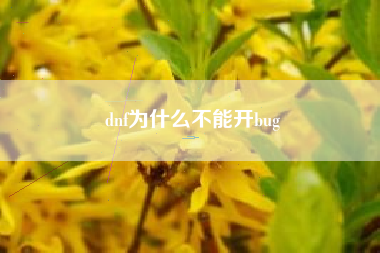 dnf为什么不能开bug