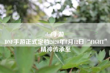 dnf手游 
DNF手游正式定档2020年8月12日“FIGHT”精神传承至