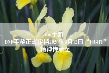 dnf手游 
DNF手游正式定档2020年8月12日“FIGHT”精神传承至