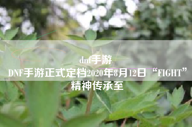 dnf手游 
DNF手游正式定档2020年8月12日“FIGHT”精神传承至