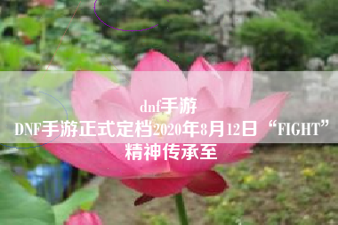 dnf手游 
DNF手游正式定档2020年8月12日“FIGHT”精神传承至